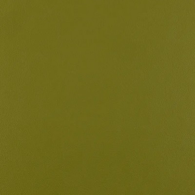 Mitchell Group Ace Fern