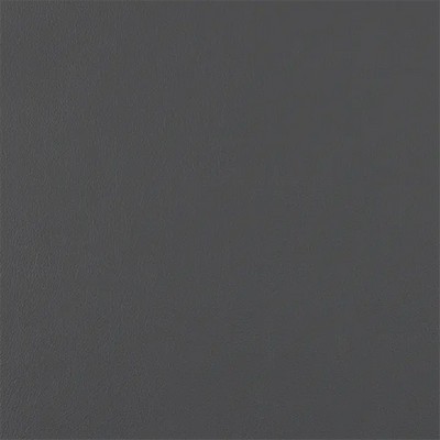 Mitchell Group Ace Fossil