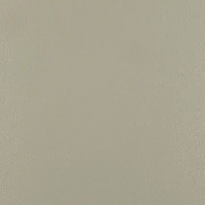 Mitchell Group Ace Oyster