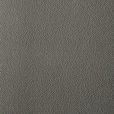 Mitchell Group Bowa Fossil