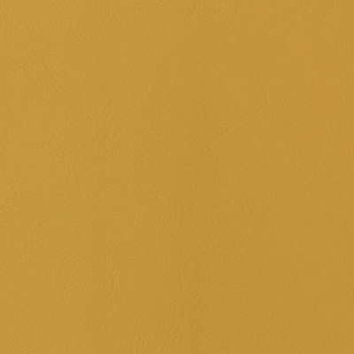 Mitchell Group Canyon Canary