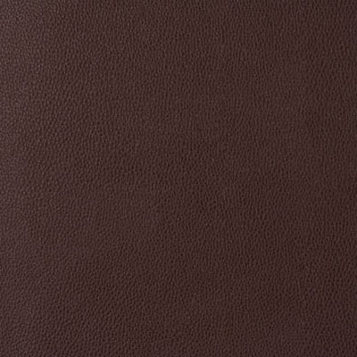 Mitchell Group Coronado Brown Bear