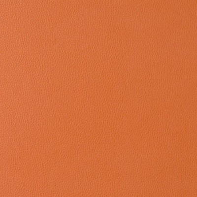 Mitchell Group Coronado Copperpot