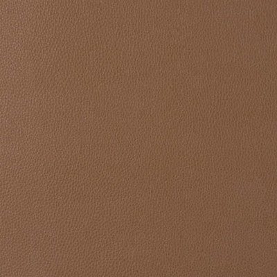 Mitchell Group Coronado Gulch