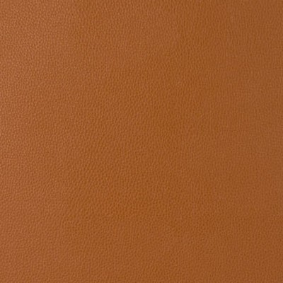 Mitchell Group Coronado Tawny