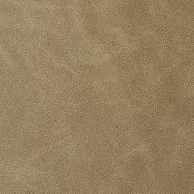 Mitchell Group Crazy Horse Aloe