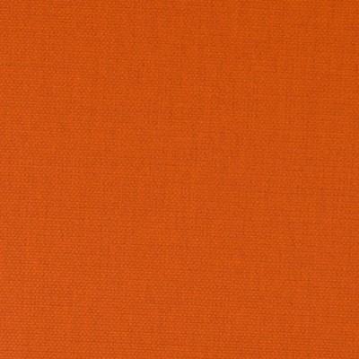 Mitchell Group Crete Tiger