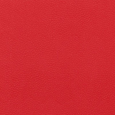 Mitchell Group Dora Dahlia