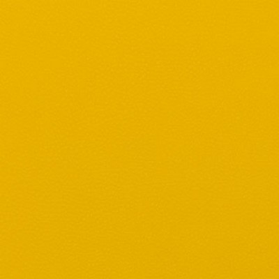 Mitchell Group Dora Dijon