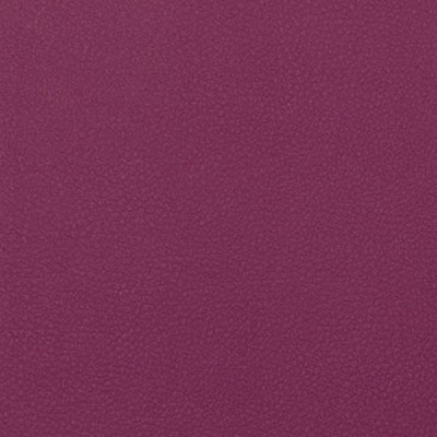 Mitchell Group Dora Plum