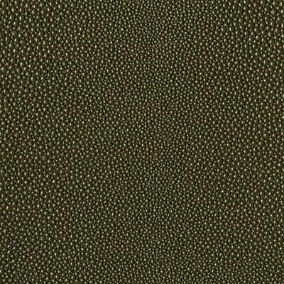 Mitchell Group Eel Cactus