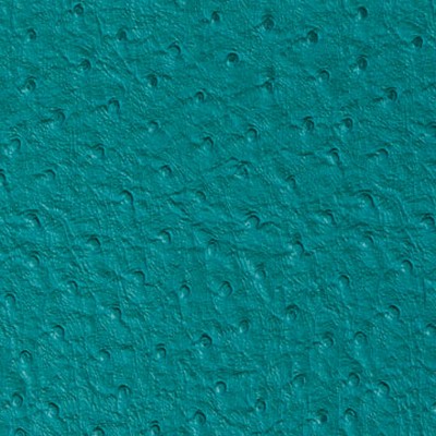 Mitchell Group Emu Teal