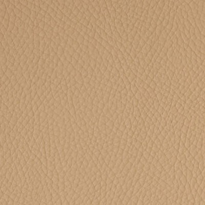 Mitchell Group Iberia Buckskin