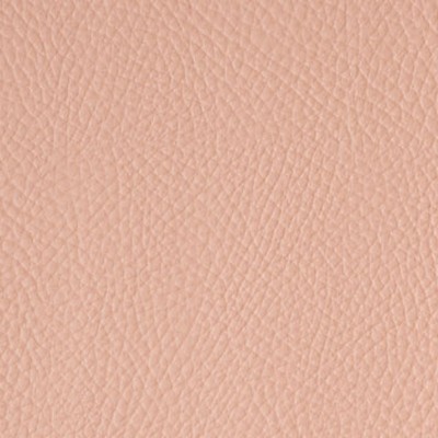 Mitchell Group Iberia Wheat