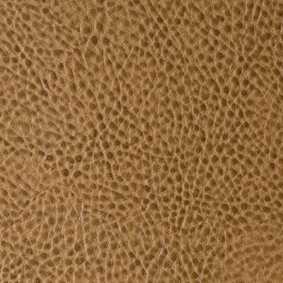 Mitchell Group Illusion Mushroom