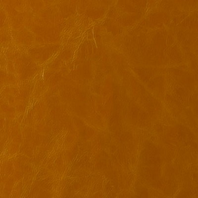 Mitchell Group Lodge Gold