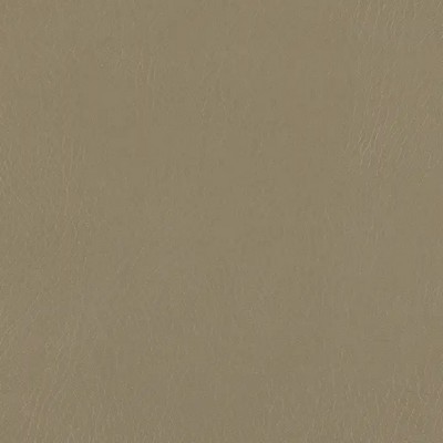 Mitchell Group Lone Star Doe