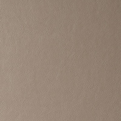 Mitchell Group Magic Dove