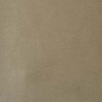 Mitchell Group Payson Desert