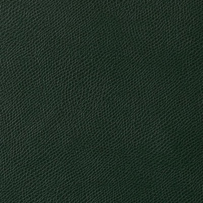 Mitchell Group Payson Forest