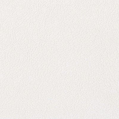 Mitchell Group Splendid Eggshell