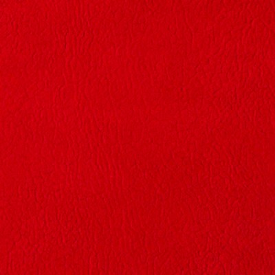 Mitchell Group Splendid Poppy