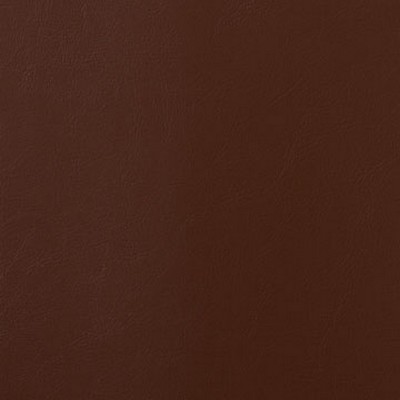 Mitchell Group Vernon Chocolate Lab