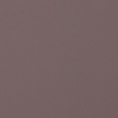 Mosehart-Schleeter Allante Elephant