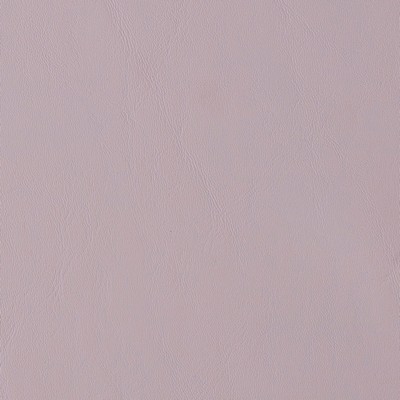 Mosehart-Schleeter Allante Nu Antelope