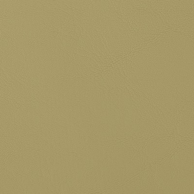 Mosehart-Schleeter Allante Parrot