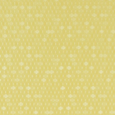 Morbern Fabric Hexx Palm