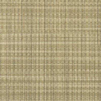 Mosehart-Schleeter Casablanca Palm