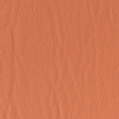 Naugahyde Stratford Apricot