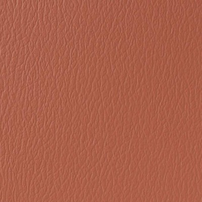 Naugahyde Spirit Millennium Sunset