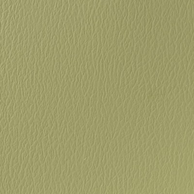 Naugahyde Spirit Millennium Sage