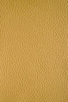 Norbar Clawson Cashew