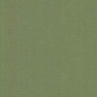 Norbar Dandy Green Tea