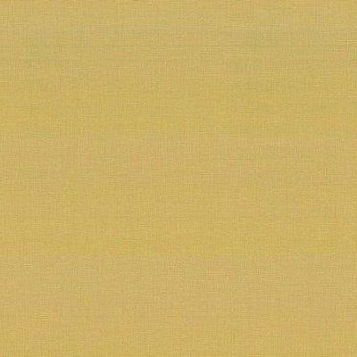 Norbar Ebbtide Daffodil 8