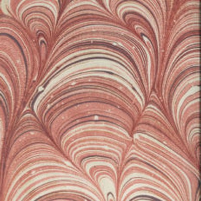 Norbar Holden Rose 216