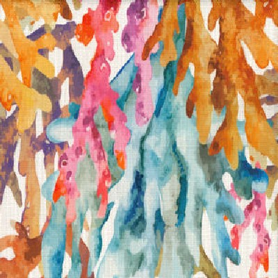 Norbar Obsession Bliss