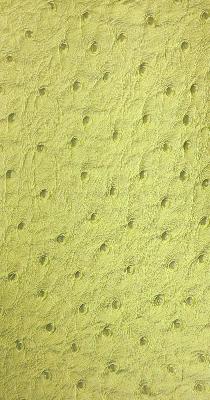 Norbar Polaris Avocado