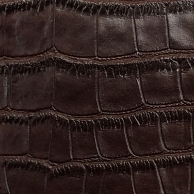 Novatex International Big Crocodile Dark Brown