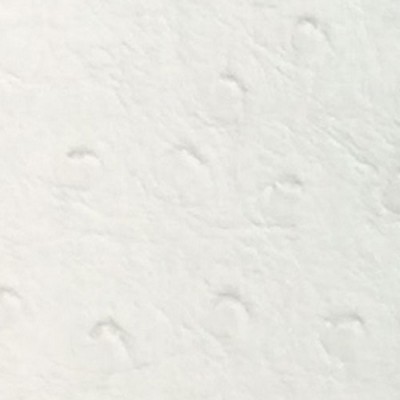 Novatex International Nova Ostrich White