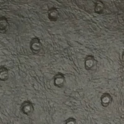 Novatex International Nova Ostrich Cement