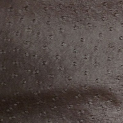 Novatex International Nova Ostrich Chocolate