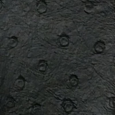 Novatex International Nova Ostrich Black