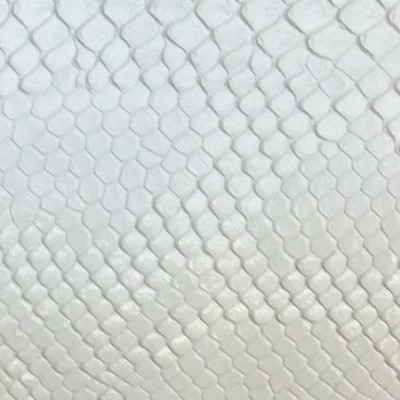 Novatex International Serpiente White