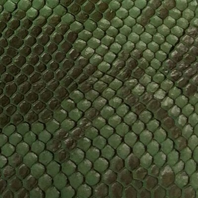 Novatex International Serpiente Green