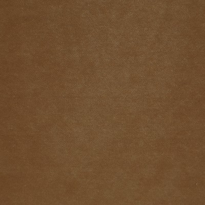 Novel Vancouver Acorn