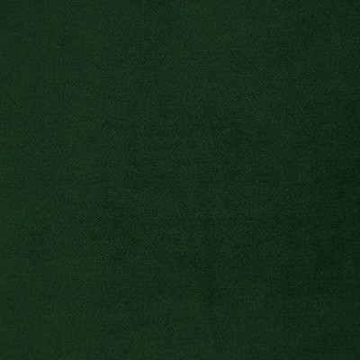 Novel Vancouver Forest